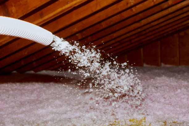 Best Crawl Space Insulation  in Evans City, PA