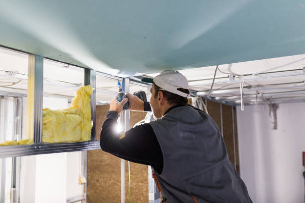 Best Local Insulation Services  in Evans City, PA