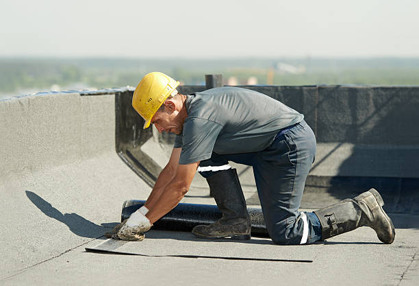 Best Affordable Insulation Services  in Evans City, PA