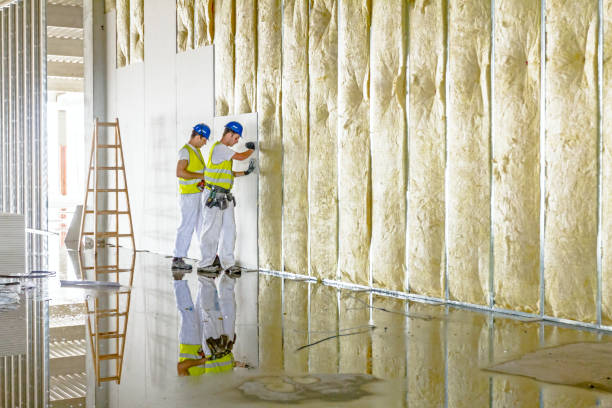 Best Insulation Contractors for Homes  in Evans City, PA